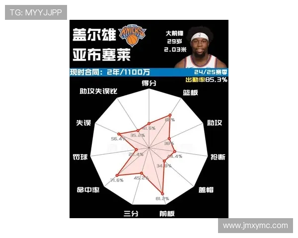 尼克斯新赛季阵容大调整 球队目标冲击季后赛深度分析