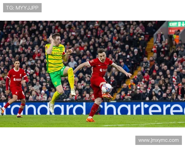 诺维奇俱乐部百年征程与英伦足球文化精神的传承探索